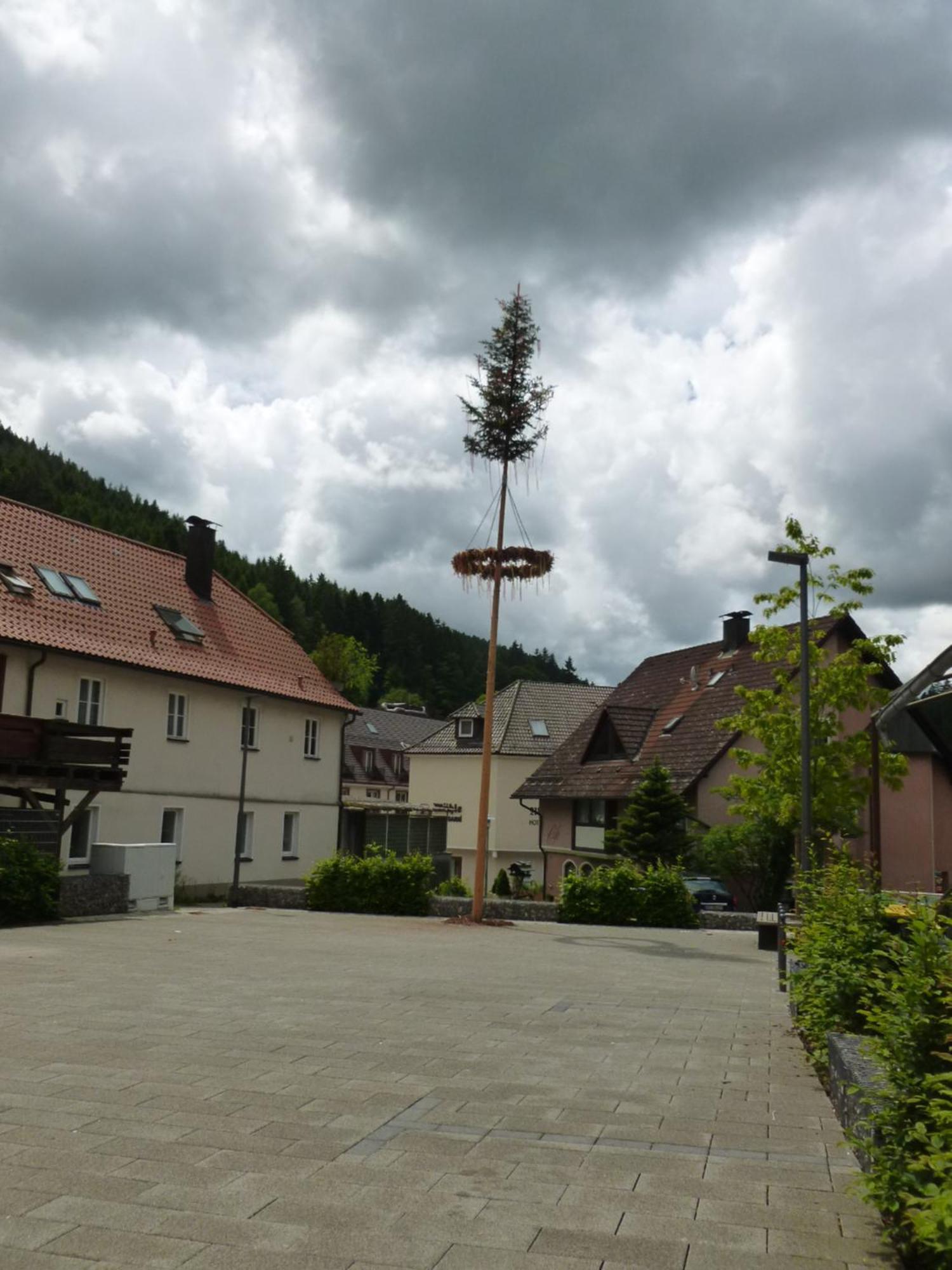 Gasthaus Waldhorn Бад Тайнах-Цафелщайн Екстериор снимка